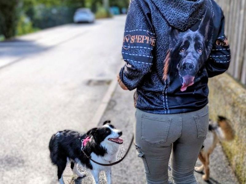 Dogwalking e accompagnamento